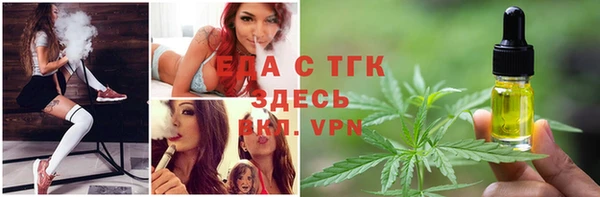 тгк Абаза