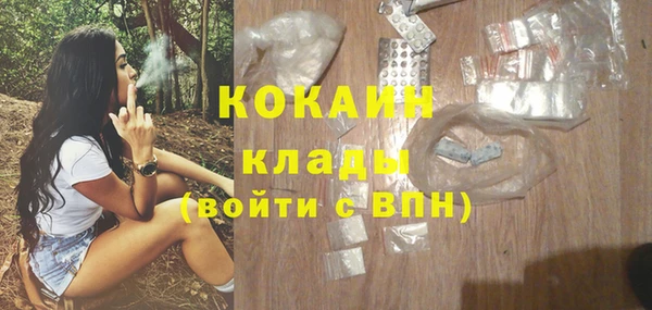 стафф Алзамай
