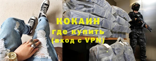 стафф Алзамай