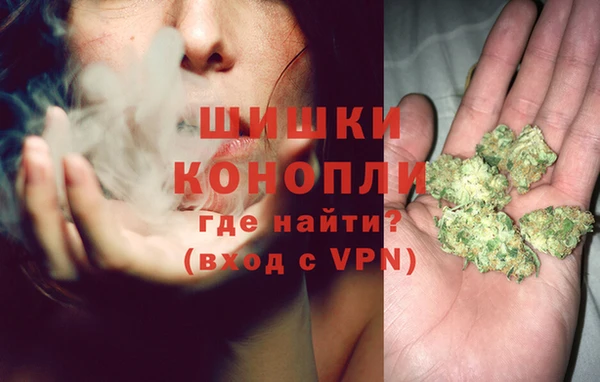 каннабис Алексеевка