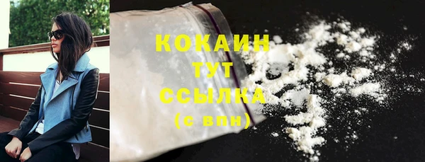 тгк Абаза