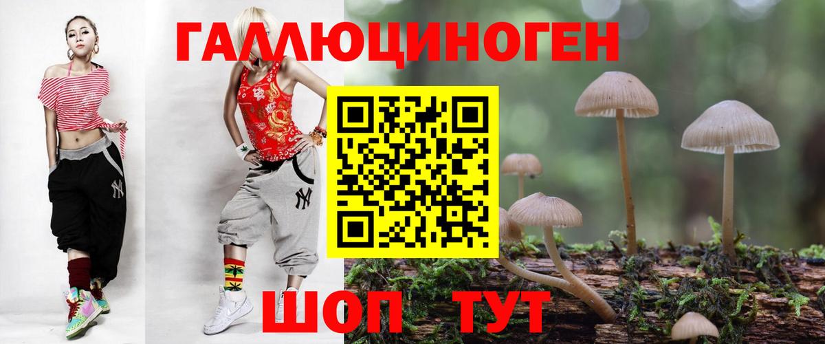 Псилоцибиновые грибы GOLDEN TEACHER Грозный