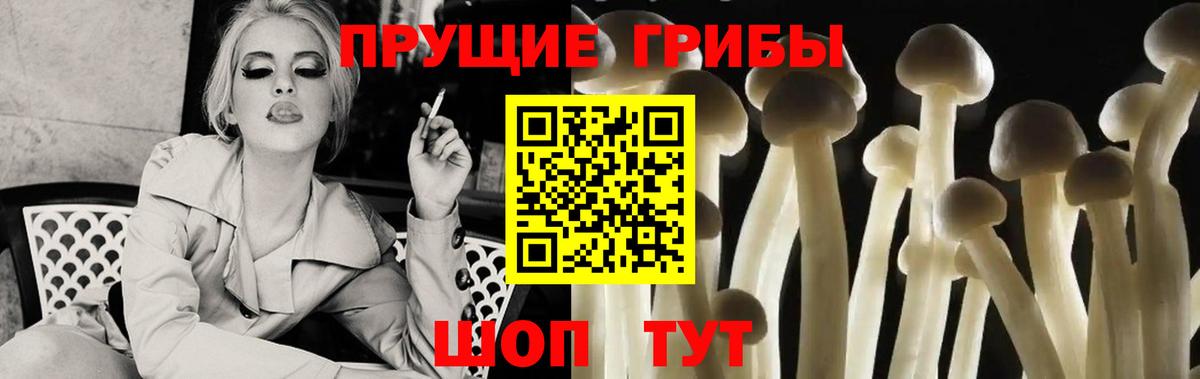 Псилоцибиновые грибы Psilocybe  Псилоцибиновые грибы Cubensis  Вход с VPN  Грозный 
